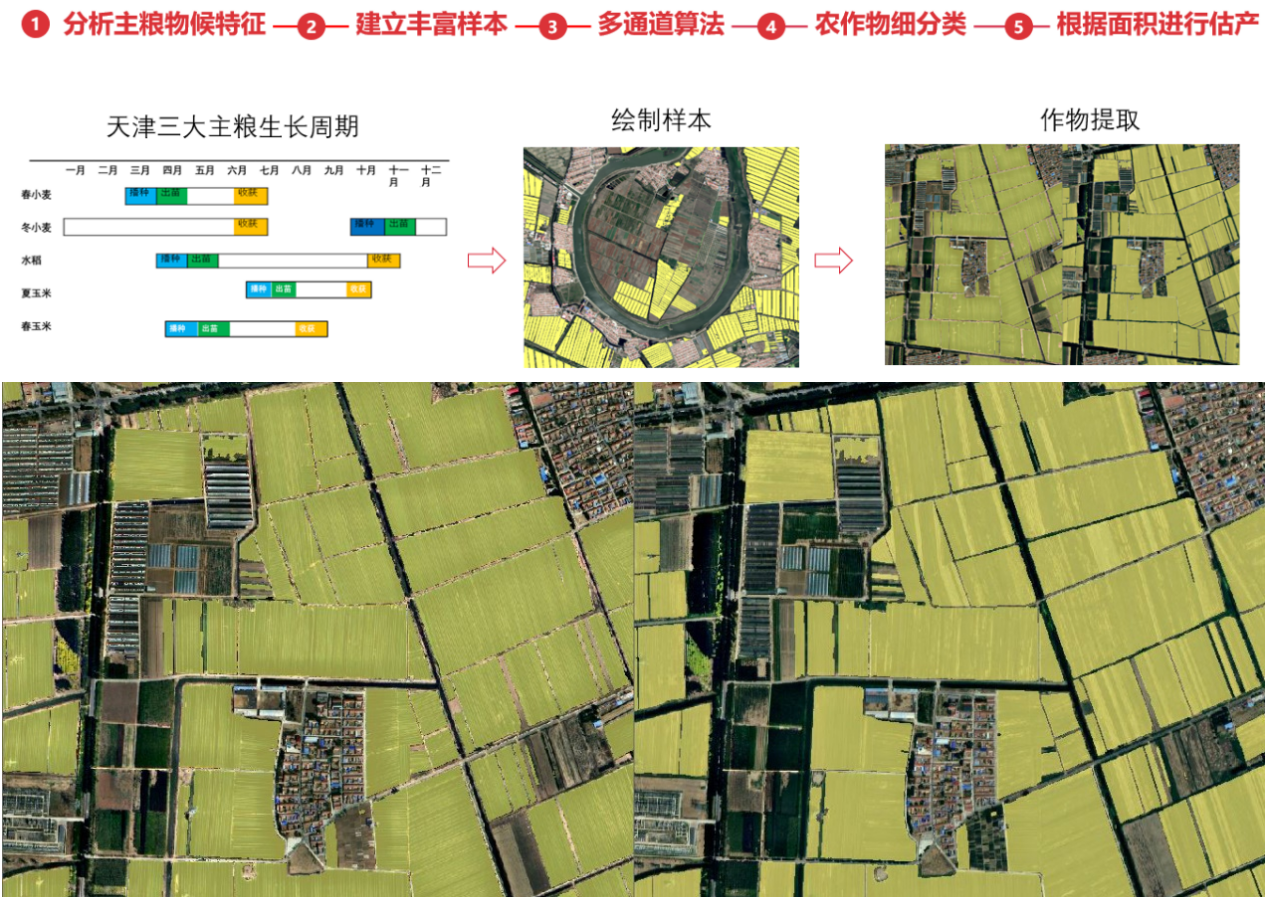 天津市三大主粮识别流程及效果-合并1.png